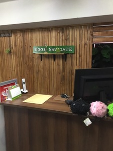 写真:株式会社レインズカンパニー ルームナビゲート