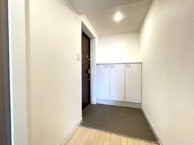 拡大写真:LalaPlace三宮東アスヴェル 2階204の玄関