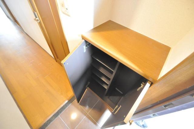 拡大写真:阪神ハイグレードマンション15番館 5階501の玄関
