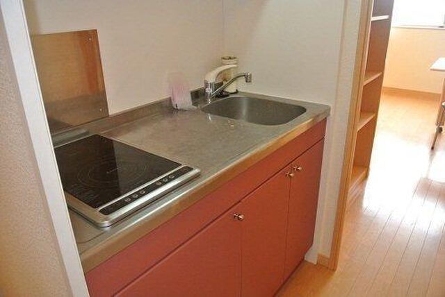 拡大写真:レオネクストK&I 2階210のキッチン