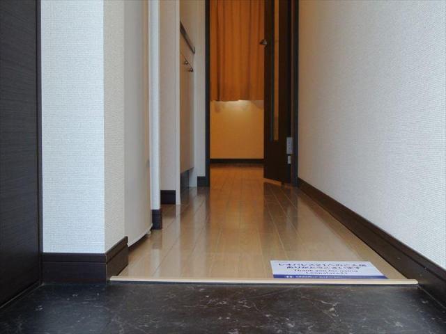 拡大写真:レオネクスト藤B 1階108の玄関(イメージ)