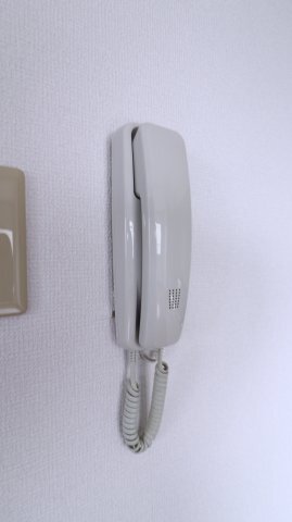 拡大写真:神戸市西区伊川谷町潤和 4階403のセキュリティ