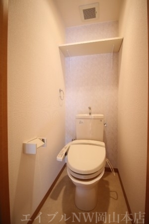 拡大写真:Twin Casa Ⅱ棟 3階302のトイレ
