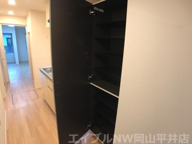 拡大写真:ヴァルトハイム・西大寺 1階101の収納