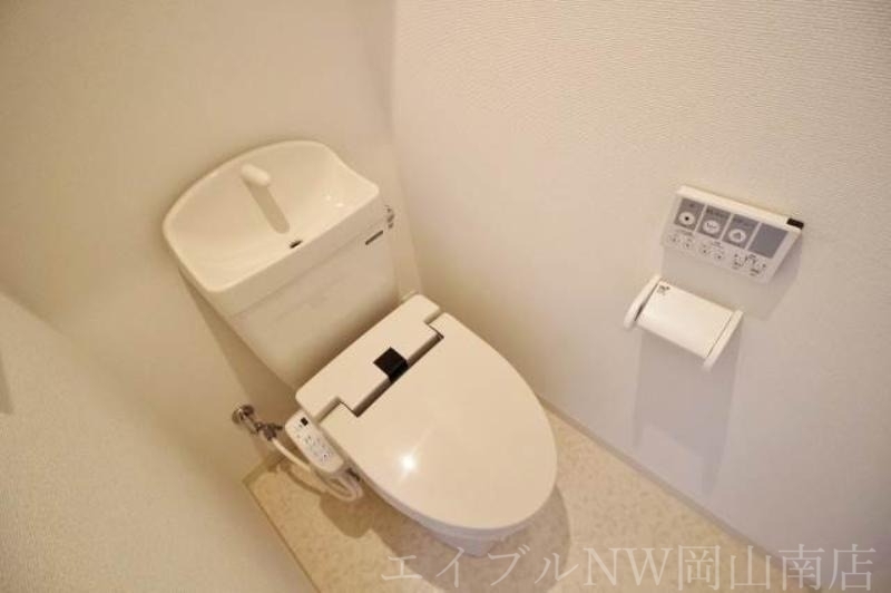 拡大写真：岡山市南区新福１丁目 3階301のトイレ