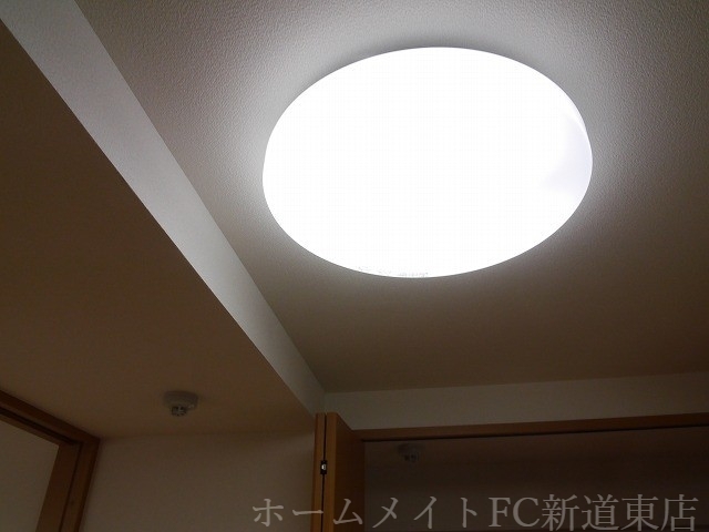 拡大写真:Raffles Court(ラッフルズコート) 4階401のその他設備