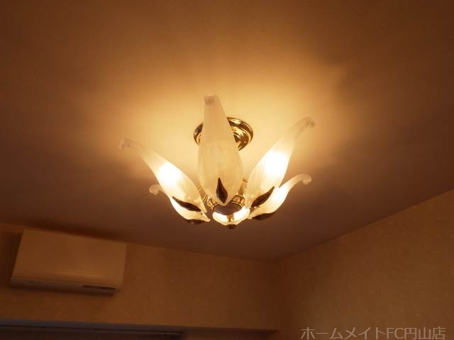 拡大写真:ダイアパレス植物園通 11階1103のその他設備
