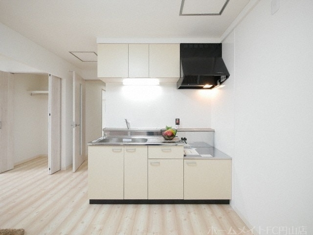 拡大写真:MAISON HOXIN南10条 2階201のキッチン