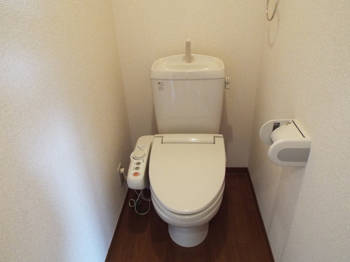 拡大写真:グランディス・エギ 1階B1の落ち着いたトイレです
