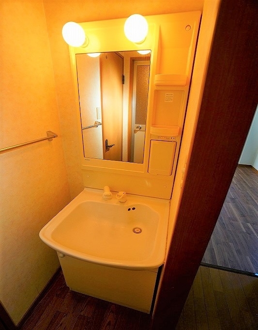 拡大写真:糟屋郡粕屋町甲仲原1丁目 1階103の★シャンプードレッサー付きの洗面台★