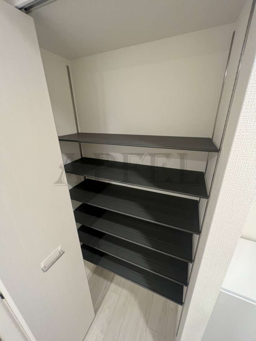 拡大写真:アドバンス上町台シュタット 10階1003の玄関