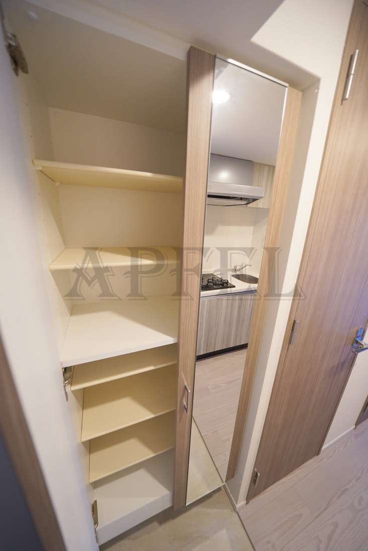 拡大写真:S-RESIDENCE福島玉川Uno 7階702の玄関