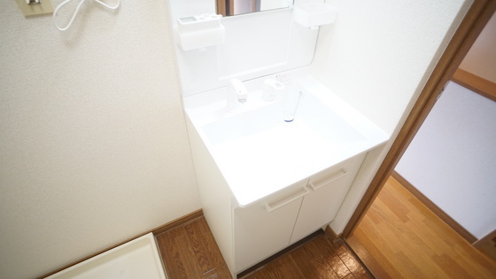 拡大写真:レイクサイドヴィラ A 2階101のシャンプードレッサー