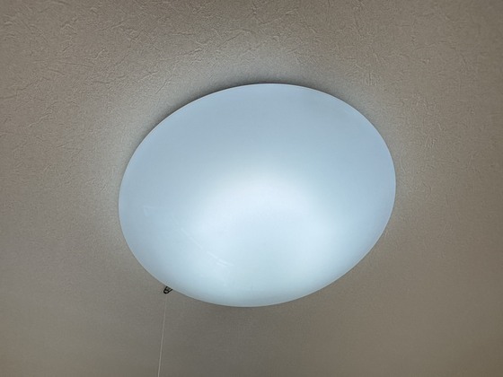 拡大写真:サカエハイツ 3階302の照明