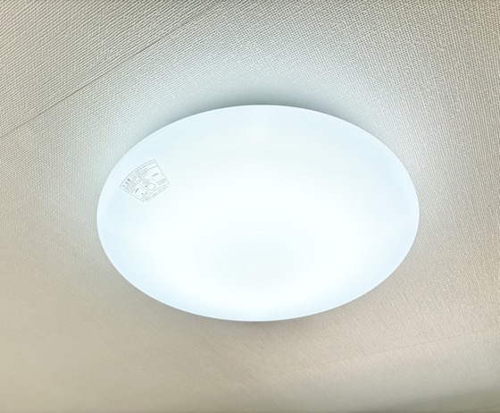 拡大写真:ハイツサンリバー 2階203の照明