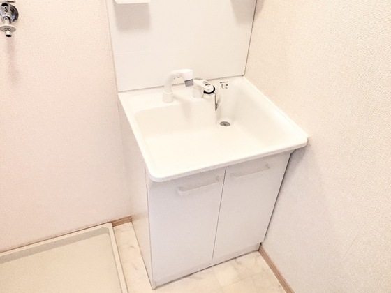 拡大写真：Ｍａｉｓｏｎ　Ｓｙｍｐｈｏｎｙ　Ｂ 2階B3のシャンプードレッサー