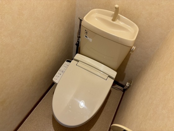 拡大写真:メゾンYOU A 2階203のシャワー付きトイレ