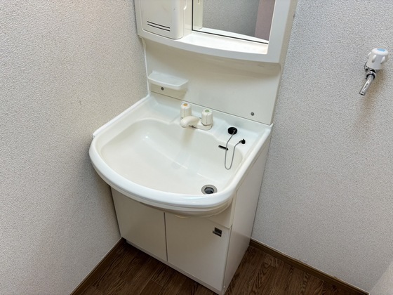 拡大写真:メゾンYOU A 2階203の洗面所