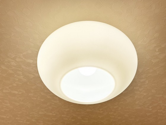 拡大写真：ティアラ桜橋 2階205の照明