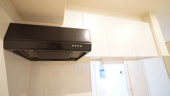 拡大写真:アイティヴィレッジ Ⅱ 2階202のカウンタ―キッチン