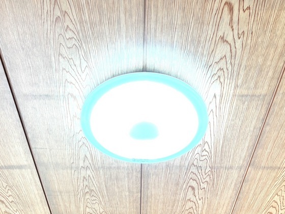 拡大写真:南新町戸建 1階1の照明