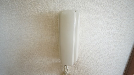 拡大写真:ファンタジア 2階207のインターホン