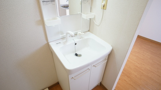 拡大写真:ルミエール末広 1階1Cのシャンプードレッサー