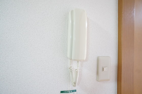 拡大写真:ワカバハイツ 1階A103のインターホン