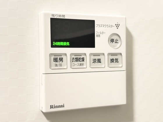 拡大写真:ガーネット 3階305のカメラ付きインターホン