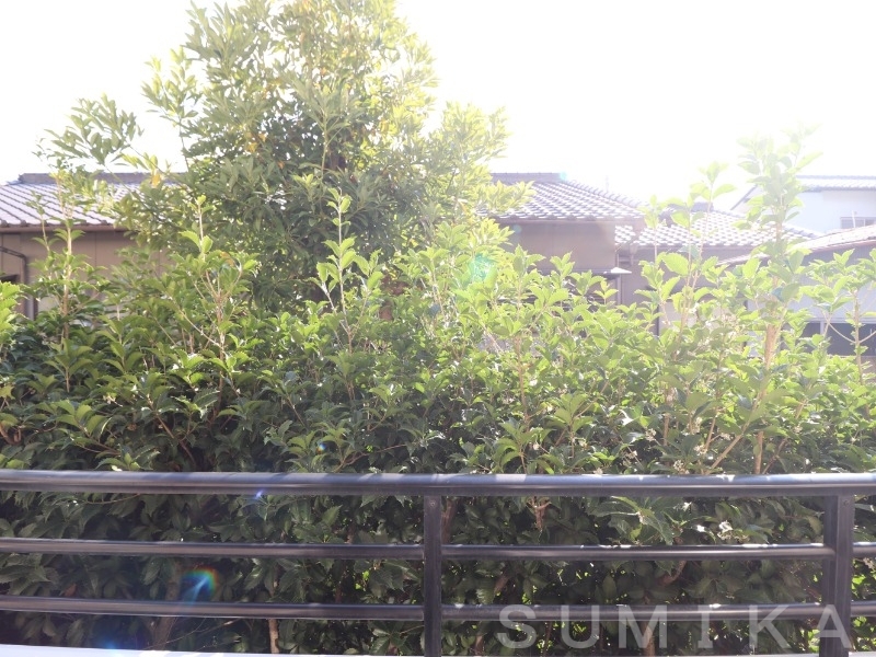 拡大写真:S.T.Villa TSUSHIMA B 1階105の眺望