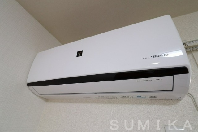拡大写真:ステラ A棟 1階A102のその他