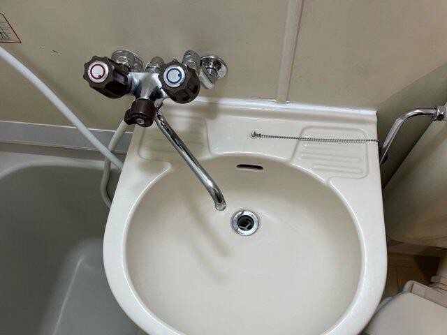 拡大写真:リバティヒルズ中野江原 2Fの洗面所