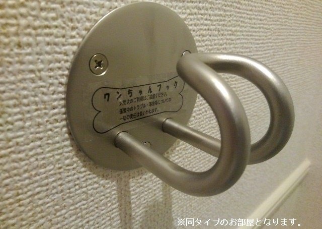 拡大写真:ベル ファミーレ 1階106の内装
