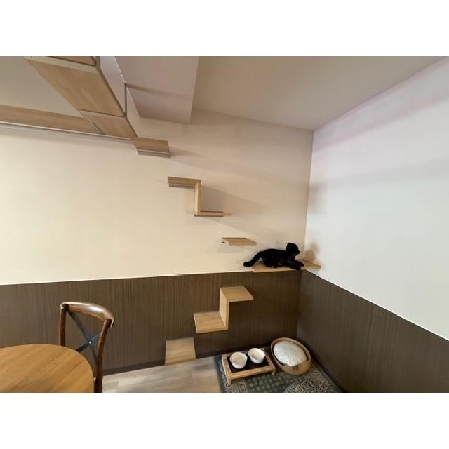 拡大写真:LEGALAND+猫 MIYAKOJIMA 2階203のその他