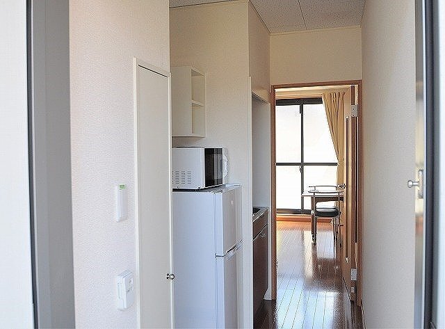 拡大写真:レオパレススカイブルー細畑 2階209の玄関
