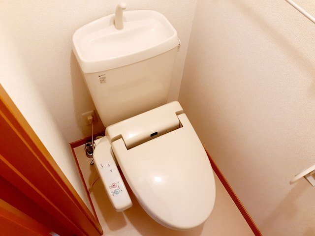 拡大写真:フジⅡ 2階201の落ち着いたトイレです