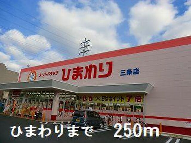 拡大写真:サンフレッチェ南条B 2階205のひまわりまで250m