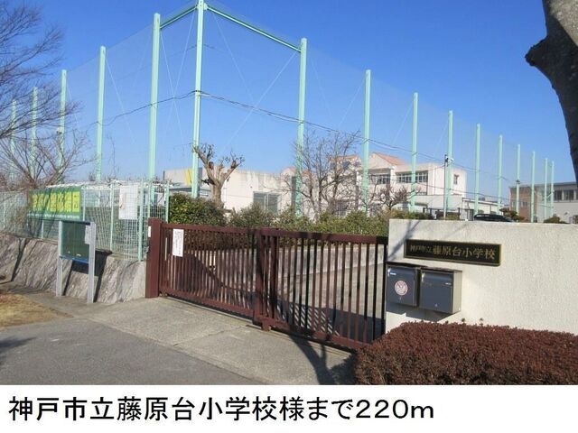 拡大写真:メゾン ソレイユA 2階203の神戸市立藤原台小学校様まで220m