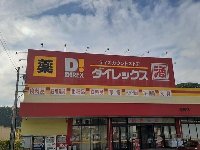 拡大写真：サウス・ヴィラ 1階103のダイレックスまで650m