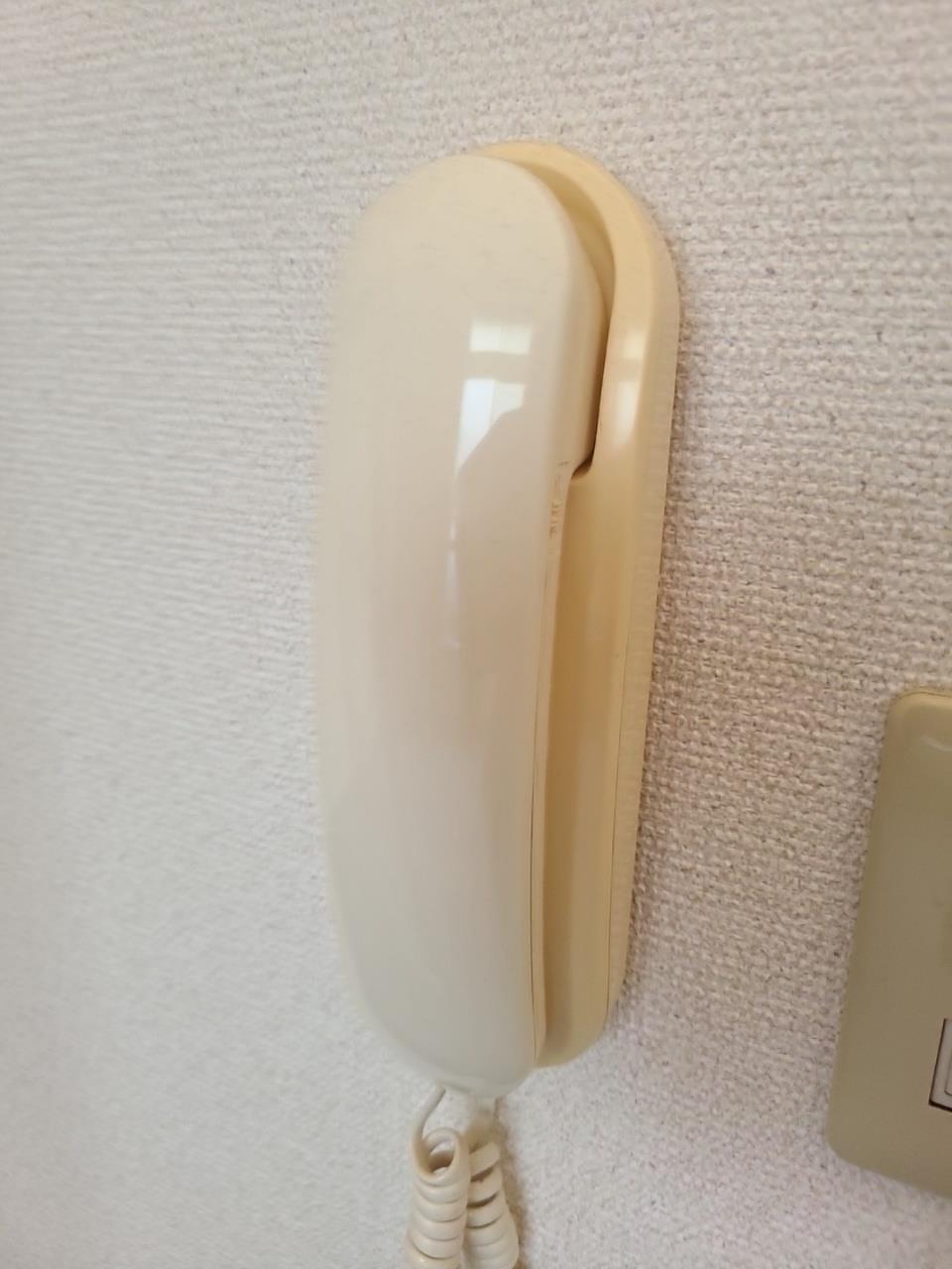 拡大写真:レオパレスレ・エスペランス 1階105の内観