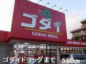 拡大写真：ニューシャルマンアイ 2階202のゴダイドラッグまで550m