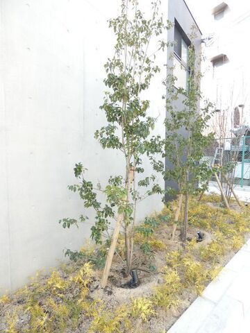 拡大写真:尼崎市南塚口町1丁目 3階303の外観