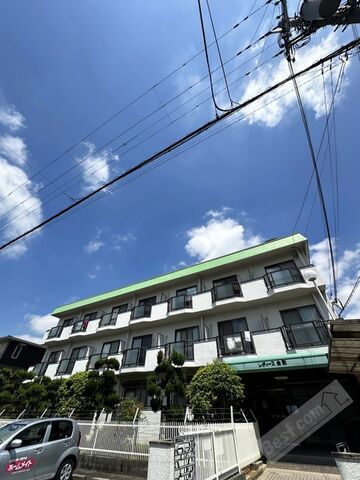 写真：レディース金剛の外観