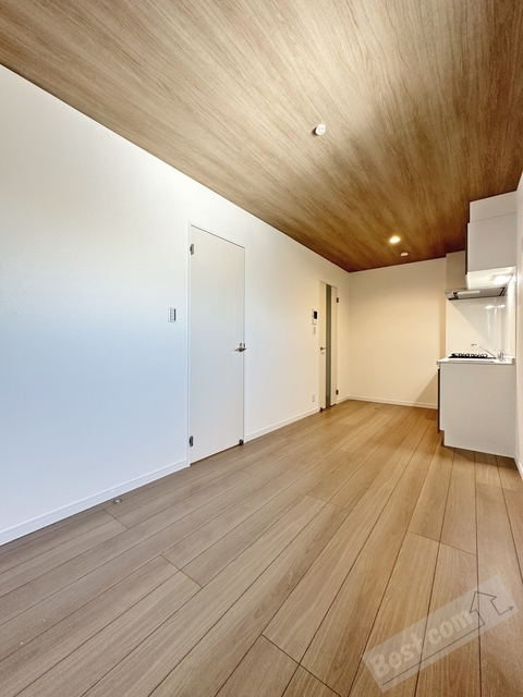 拡大写真:KS NORTH PLACE 2階203の内観