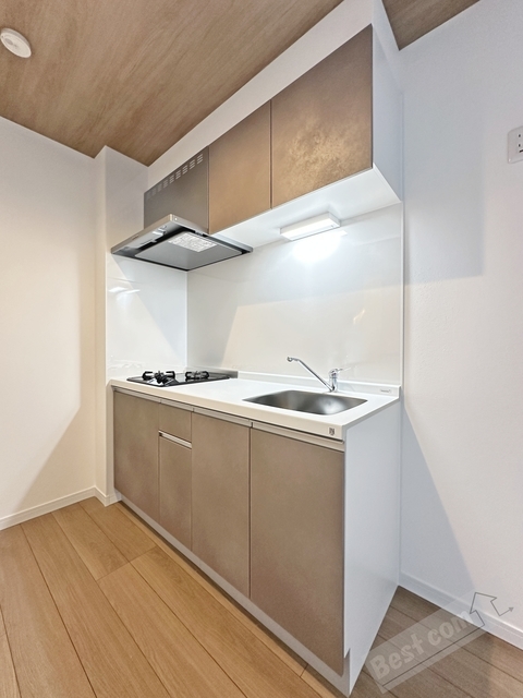 拡大写真:KS NORTH PLACE 2階203の内観