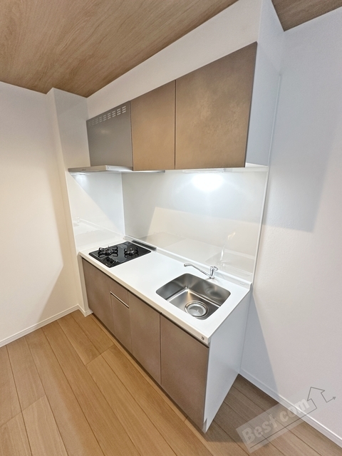拡大写真:KS NORTH PLACE 2階203の内観