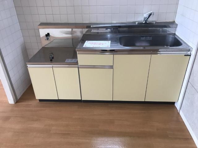 拡大写真:エコーハイツ 2階203の収納(キッチン下)