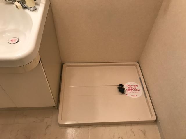 拡大写真:エコーハイツ 2階203の洗濯機置場