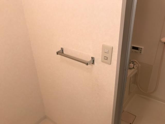 拡大写真:エコーハイツ 2階203のタオル掛け