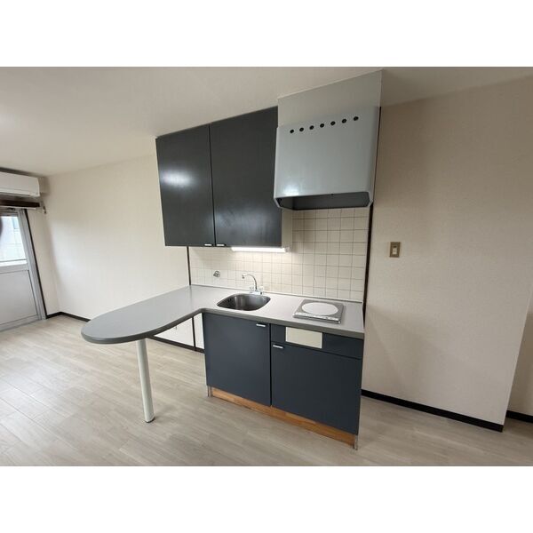 拡大写真:ロワール本郷 4階501のキッチン